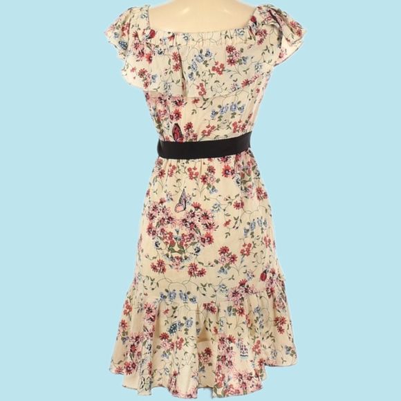 Maje | Modern Cottagecore | Lined |Silk | Butterfly Ladybug Ruffled Floral Dress - Picture 7 of 13